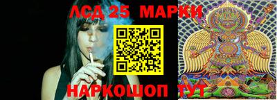 прущие грибы Заводоуковск